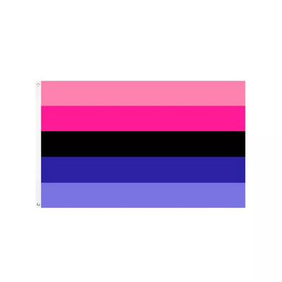 Ψηφιακή εκτύπωση Rainbow LGBT Flag 3x5Ft 100D Polyester Progress Flag