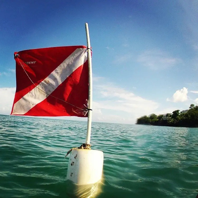 Γρήγορη παράδοση υψηλή - η ποιοτική βάρκα που βουτά οποιοδήποτε μέγεθος βουτά σημαία
